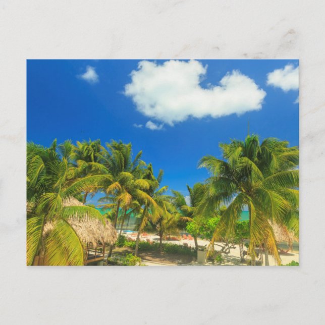 Tropical beach resort, Belize Postcard (Front)