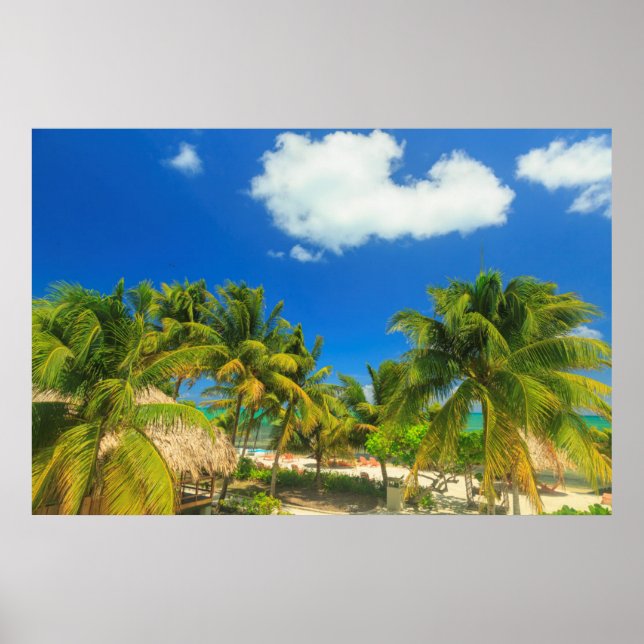Tropical beach resort, Belize Poster (Front)