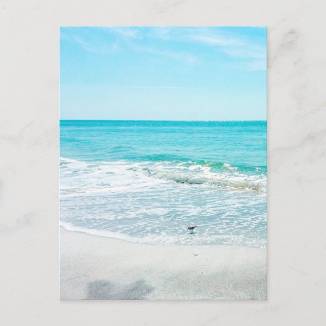 Tropical Beach Sand Ocean Waves Sea Shells Gulf Postcard (Front)
