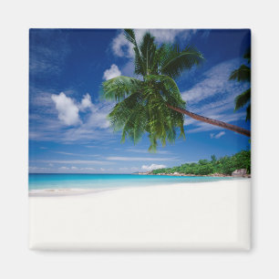Tropical Beach   Seychelles Magnet