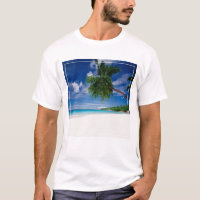 Tropical Beach | Seychelles