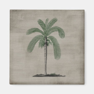 Tropical Beach Vintage Palm Tree Magnet