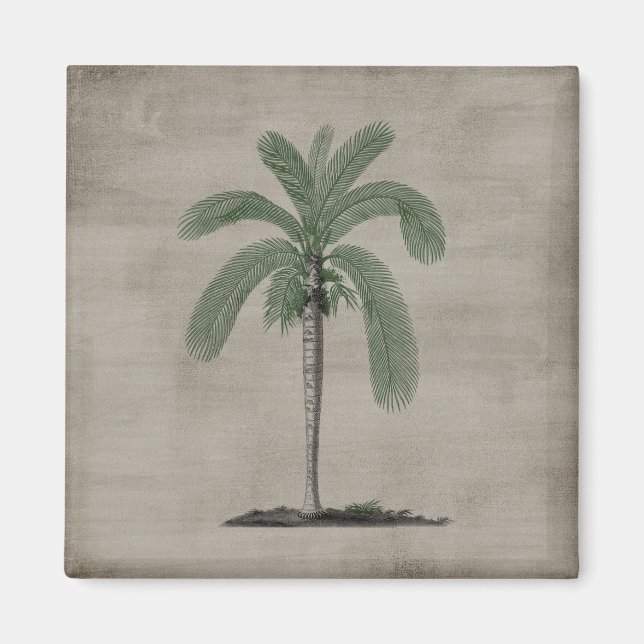 Tropical Beach Vintage Palm Tree Magnet (Front)