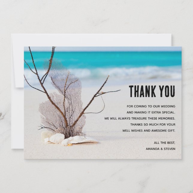 Tropical Beach with White Seashells Thank You Card (Front)