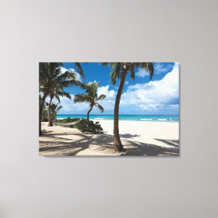 Tropical Beaches Anguilla Beach, Palm Tree Canvas Print