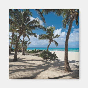 Tropical Beaches Anguilla Beach, Palm Tree Magnet