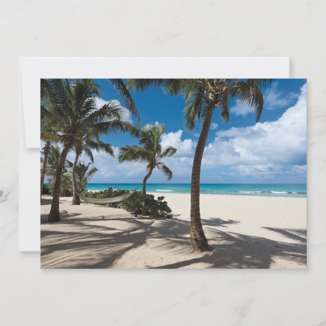 Tropical Beaches | Anguilla Beach, Palm Tree Thank You Card (Front)