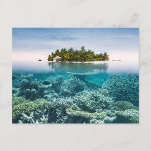 Tropical Beaches Ari Atoll Maldives Postcard