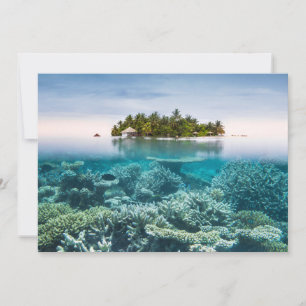 Tropical Beaches   Ari Atoll Maldives Thank You Card