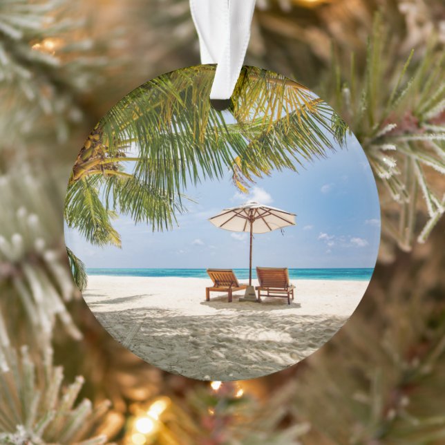 Tropical Beaches | Beach Dominican Republic (Arbre)
