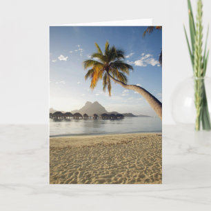Tropical Beaches   Beach Huts, Bora Bora Card