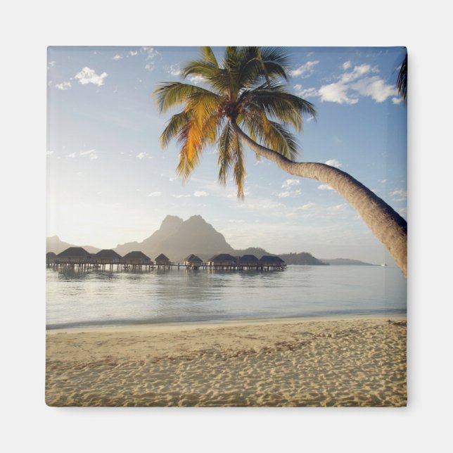 Tropical Beaches | Beach Huts, Bora Bora Magnet (Front)