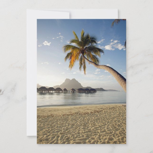 Tropical Beaches | Beach Huts, Bora Bora Thank You Card (Front)