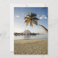 Tropical Beaches | Beach Huts, Bora Bora