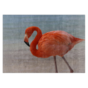Tropical Beaches   Caribbean Flamingo, Aruba Cutting Board
