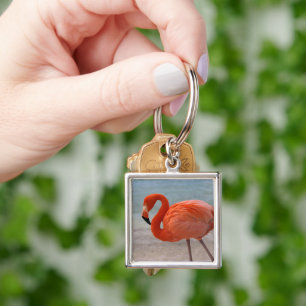 Tropical Beaches Caribbean Flamingo, Aruba Keychain