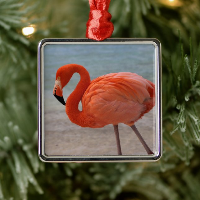 Tropical Beaches | Caribbean Flamingo, Aruba Metal Ornament (Tree)