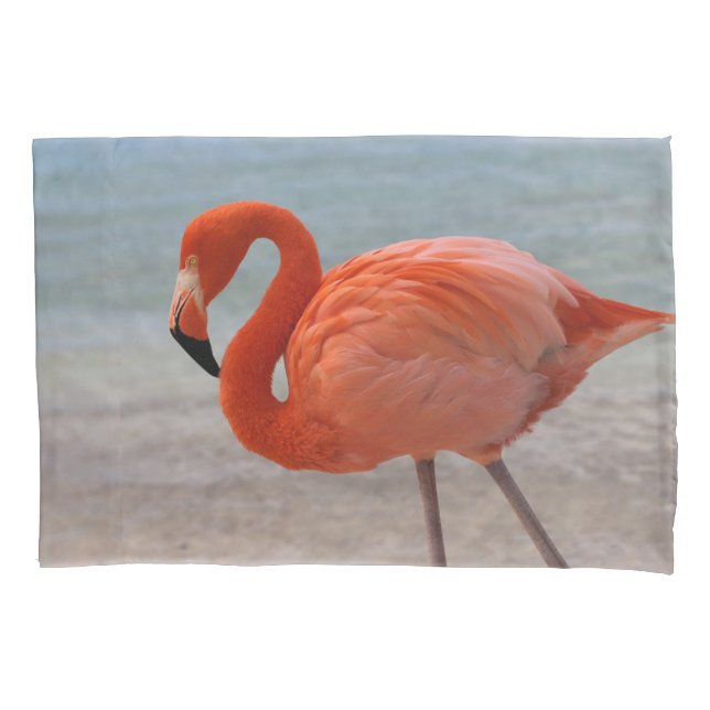 Tropical Beaches | Caribbean Flamingo, Aruba Pillowcase (Front)