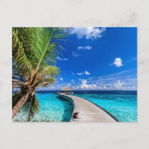 Tropical Beaches Dusit Thani Maldives Postcard