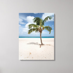 Tropical Beaches Eagle Beach, Aruba Canvas Print