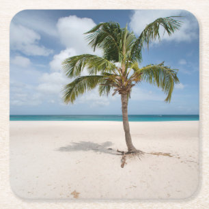 Tropical Beaches   Eagle Beach, Aruba Square Paper Coaster