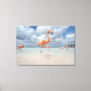 Tropical Beaches   Flamingos Beach, Aruba Canvas Print