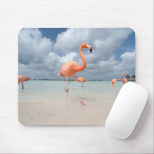 Tropical Beaches Flamingos Beach, Aruba Mouse Pad