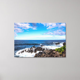 Tropical Beaches   Haleakala National Park Maui Canvas Print