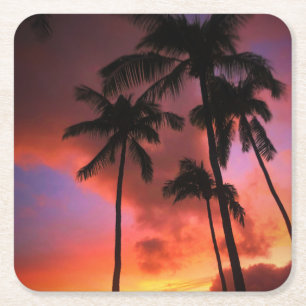 Tropical Beaches   Maui Hawaii Islands Square Paper Coaster