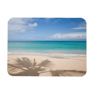 Tropical Beaches   Maui, Hawaii Magnet