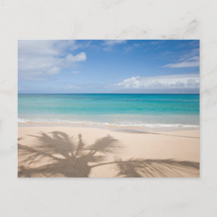 Tropical Beaches   Maui, Hawaii Postcard