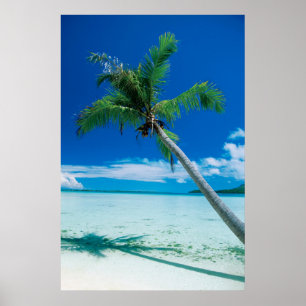 Tropical Beaches   Motu Tofari Beach, Bora Bora Poster