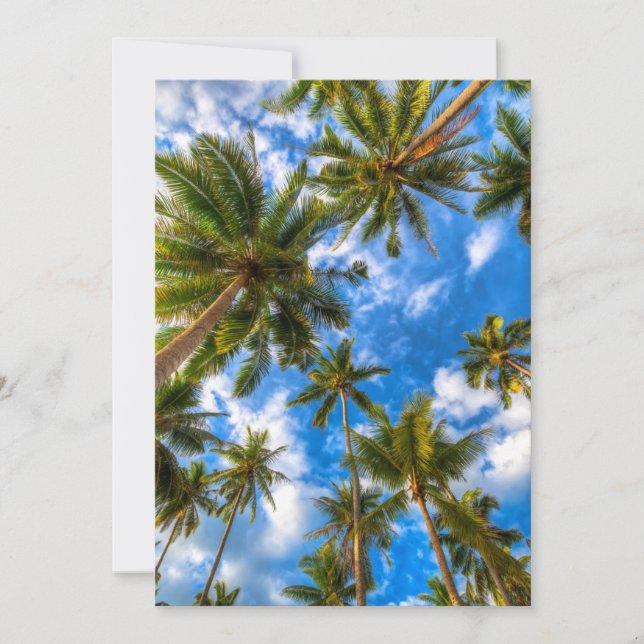 Tropical Beaches | Palm Trees on Blue Sky Thank You Card (Front)