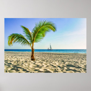 Tropical Beaches   Sailboat, Palm Tree, Aruba Poster