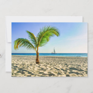 Tropical Beaches   Sailboat, Palm Tree, Aruba Thank You Card
