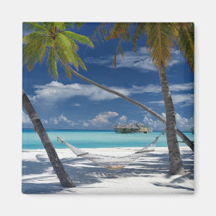 Tropical Beaches   Sandy Beach, Maldives Magnet