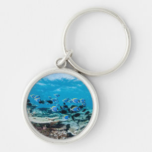 Tropical Beaches   Sturgeon Amongst Coral Keychain