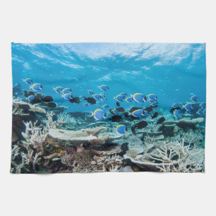 Tropical Beaches Sturgeon Amongst Coral Kitchen Towel
