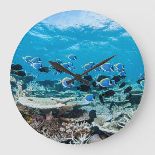 Tropical Beaches Sturgeon Amongst Coral Large Clock