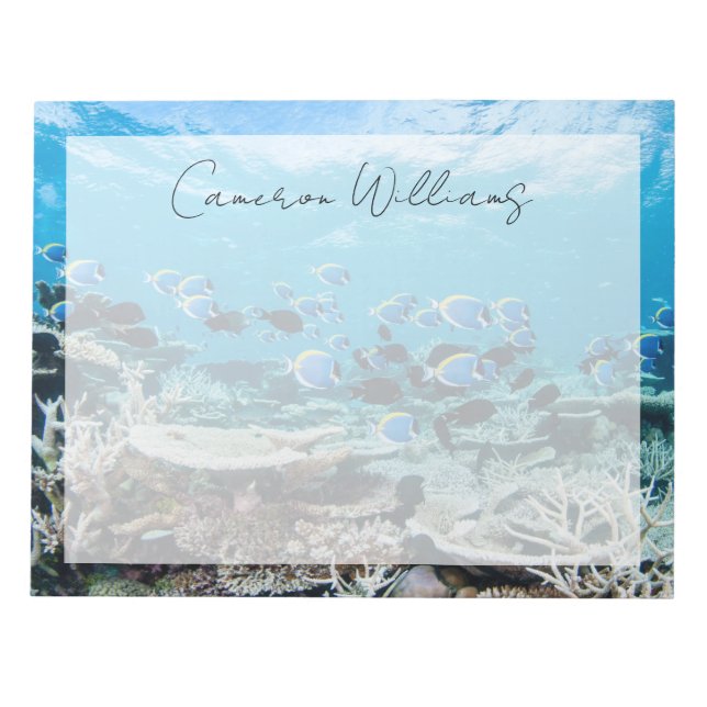 Tropical Beaches | Sturgeon Amongst Coral Notepad (Front)