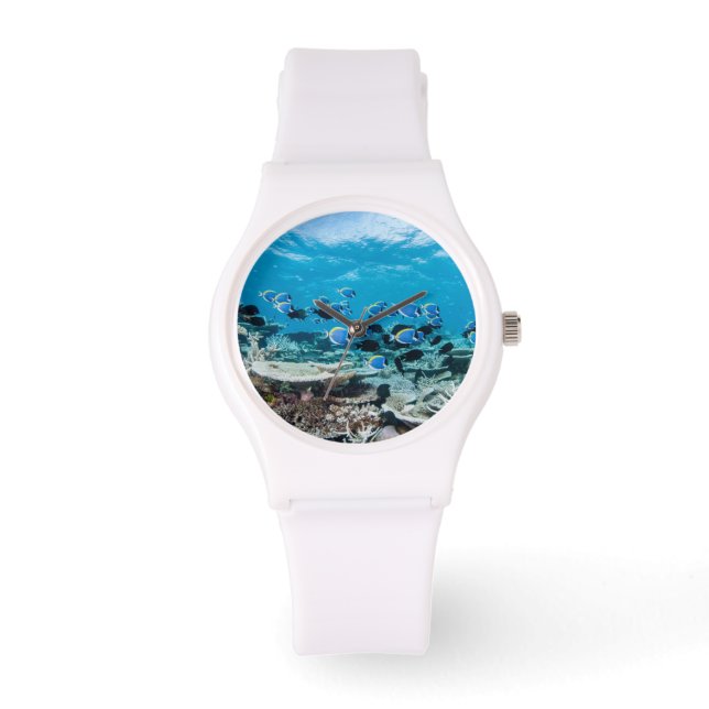 Tropical Beaches | Sturgeon Amongst Coral Watch (Front)