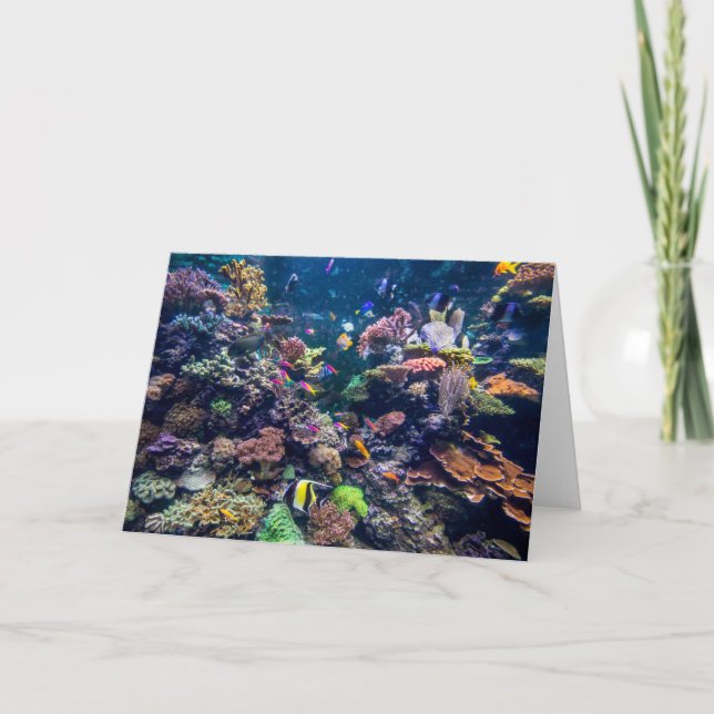 Tropical Beaches | Underwater Coral Reef Card (Front)