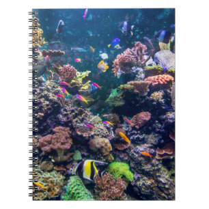 Tropical Beaches   Underwater Coral Reef Notebook