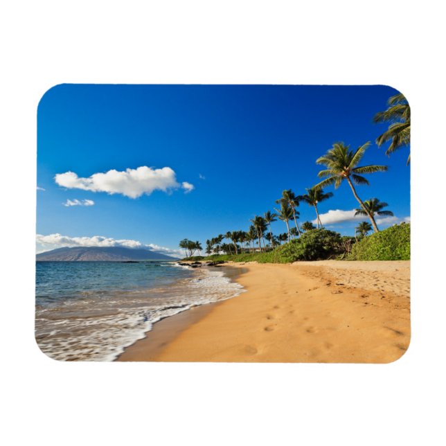 Tropical Beaches | Wailea, Maui, Hawaii Magnet (Horizontal)