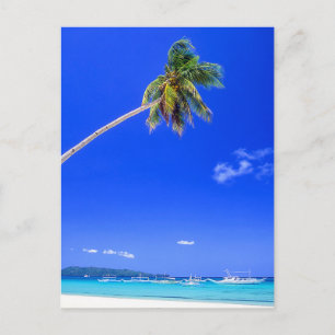 Tropical Beaches White Beach, Phillipines Postcard