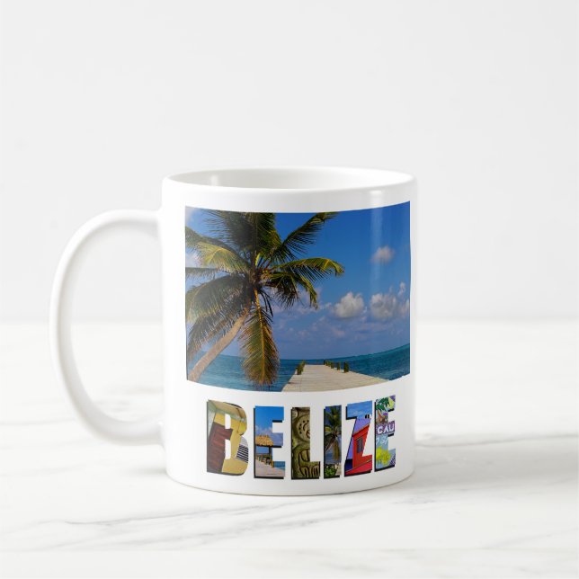 Tropical Belize Ocean Beach Palm Tree Photo Coffee Mug (Left)