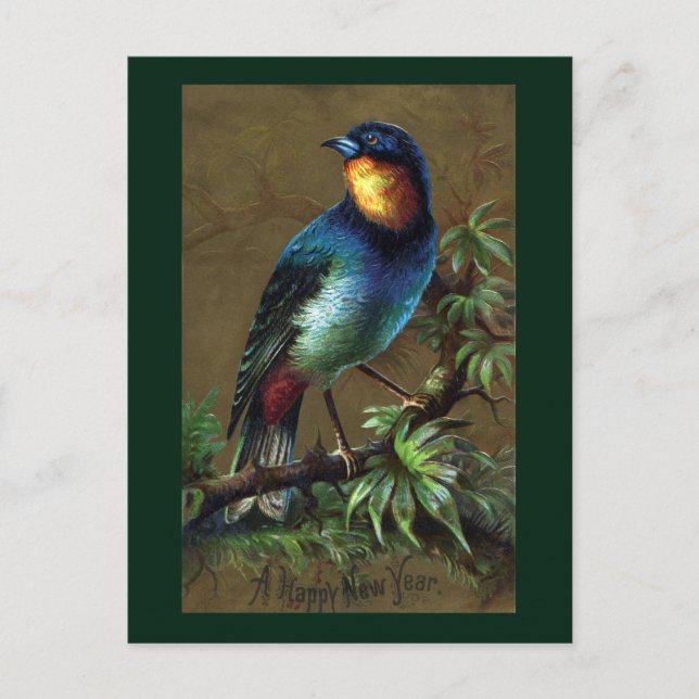 Tropical Bird Happy New Year Holiday Postcard (Front)