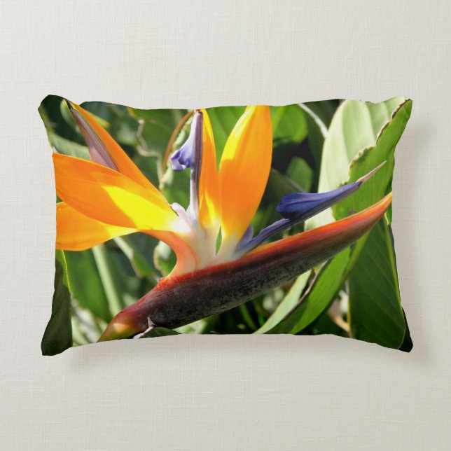 Tropical Bird of Paradise Decorative Pillow (Front)