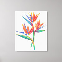Tropical Bird Of Paradise Drawing Original Art