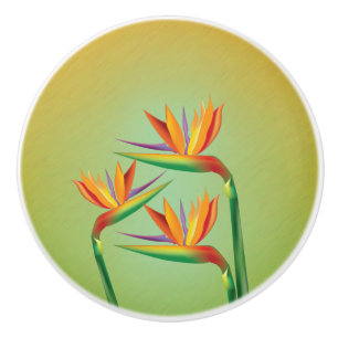 Tropical Bird of Paradise Floral Flowers Ceramic Knob